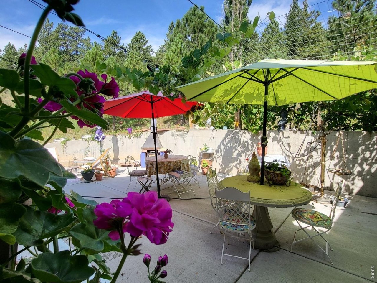 1042 Steamboat Valley Road Lyons, CO 80540 - Photo 14 of 46 Lush Grapevine private patio of Primary, West Wing.