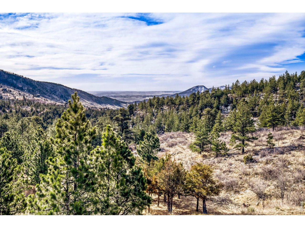 1042 Steamboat Valley Road Lyons, CO 80540 - Photo 4 of 46 View from the front concrete patio deck~