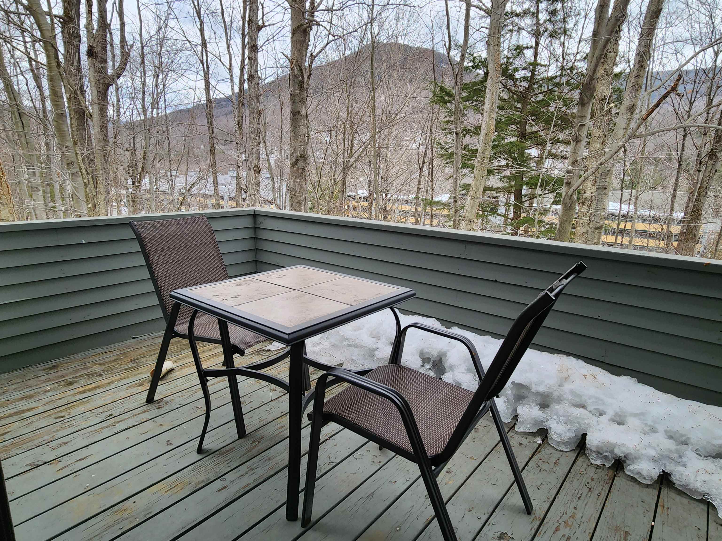 32 Fox Run Road, Unit 1 Lincoln, NH 03251 - Photo 13 of 30