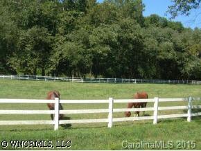 Pasture Rilandwell Drive Fletcher, NC 28732 - Photo 5 of 7 Gallery Image 5