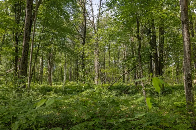 $496,000 | 13 West 13 Mile Road, Unit PAR D, Bitely, MI 49309