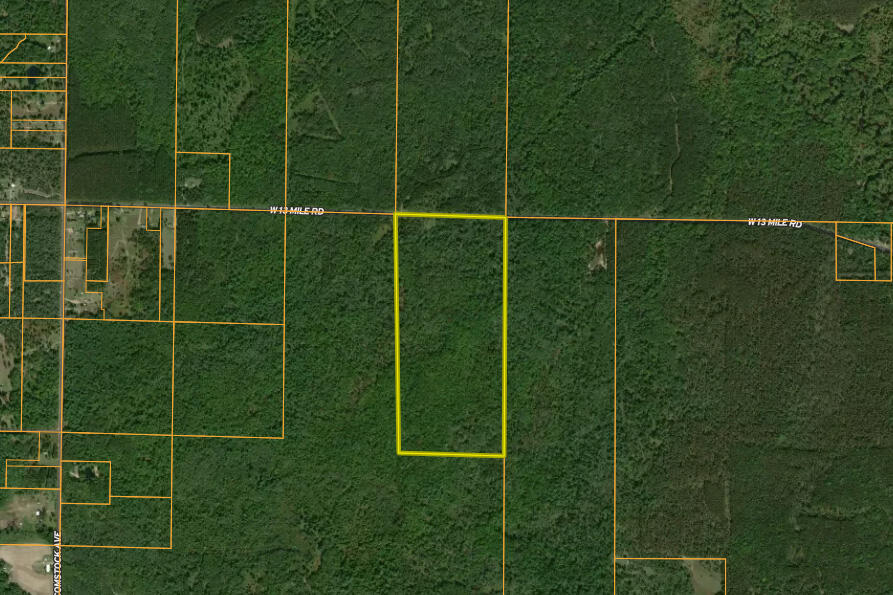 13 West 13 Mile Road, Unit PAR D Bitely, MI 49309 - Photo 11 of 12 Aerial 1