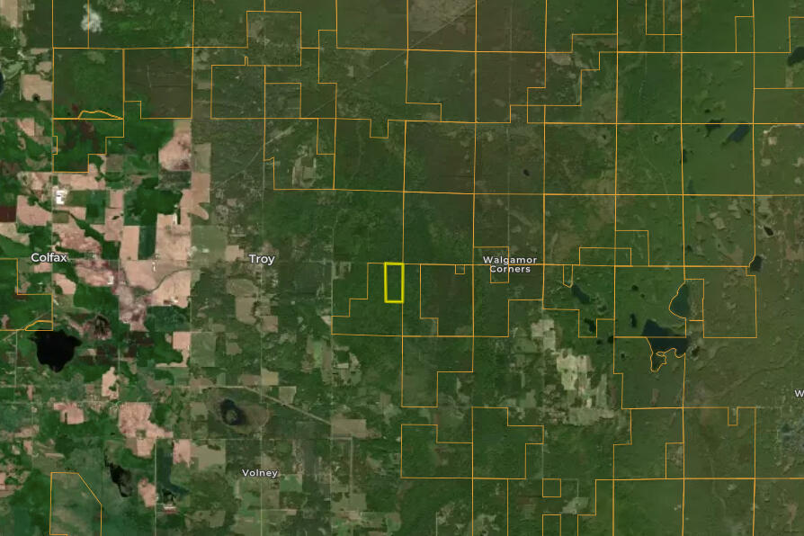 13 West 13 Mile Road, Unit PAR D Bitely, MI 49309 - Photo 12 of 12 Aerial 2