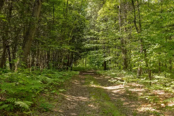 $248,000 | 13 West 13 Mile Road, Unit PAR D, Bitely, MI 49309