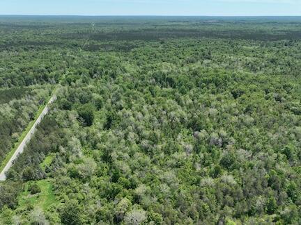 13 West 13 Mile Road, Unit PAR D Bitely, MI 49309 - Photo 5 of 12 5