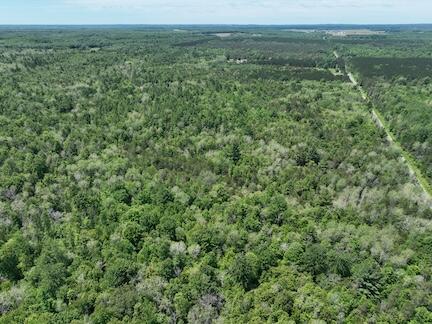 13 West 13 Mile Road, Unit PAR D Bitely, MI 49309 - Photo 6 of 12 6
