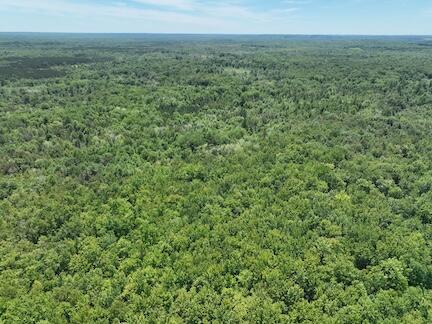 13 West 13 Mile Road, Unit PAR D Bitely, MI 49309 - Photo 7 of 12 7