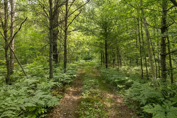 $248,000 | 13 West 13 Mile Road, Unit PAR D, Bitely, MI 49309