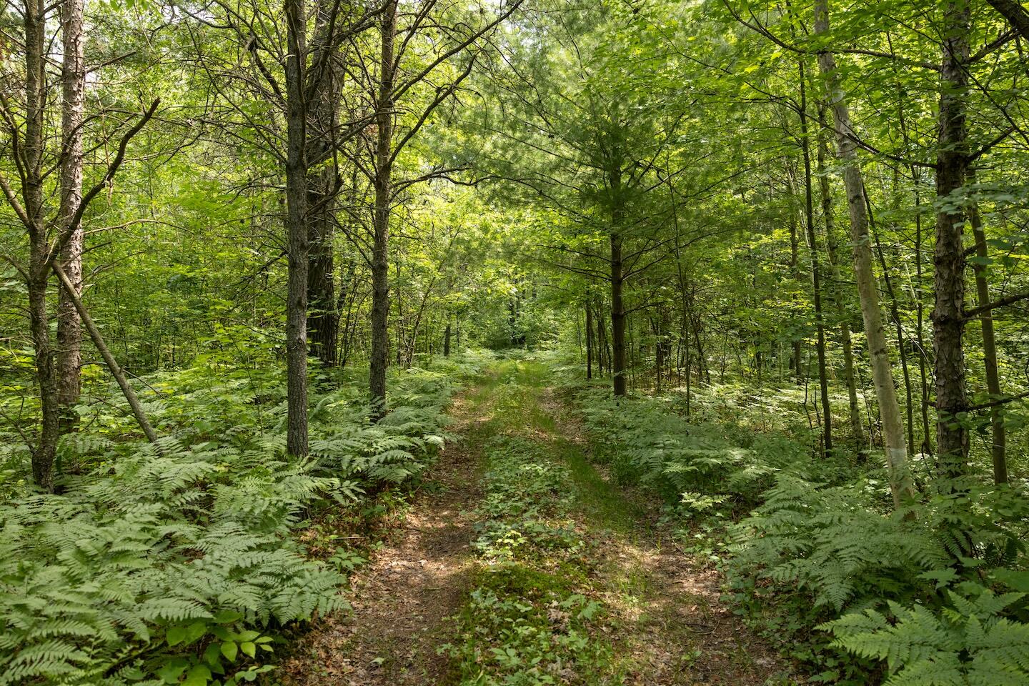 13 West 13 Mile Road, Unit PAR D Bitely, MI 49309 - Photo 8 of 12 8