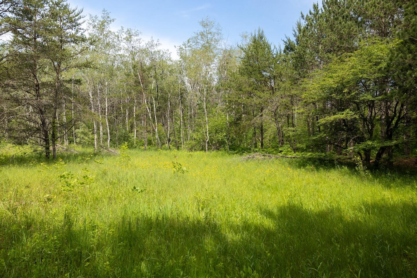 13 West 13 Mile Road, Unit PAR D Bitely, MI 49309 - Photo 9 of 12 9
