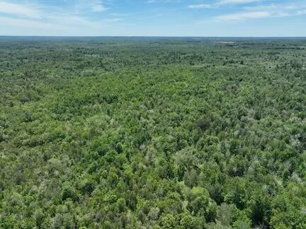 $248,000 | 13 West 13 Mile Road, Unit PAR D, Bitely, MI 49309