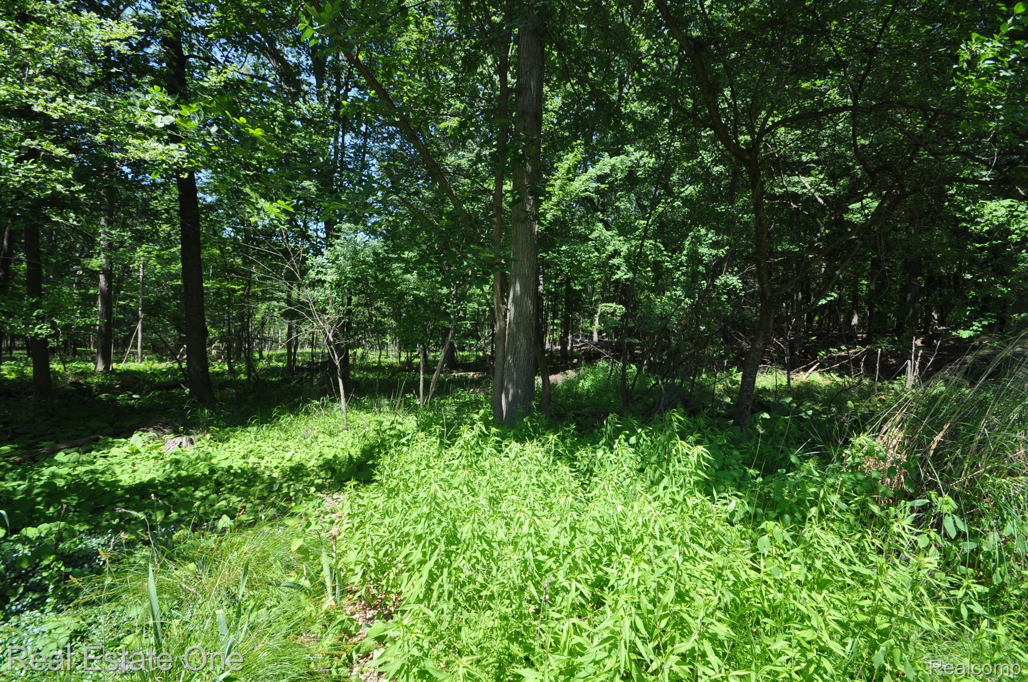 2185 Clinton View Circle Rochester, MI 48309 - Photo 35 of 36 Gallery Image 35