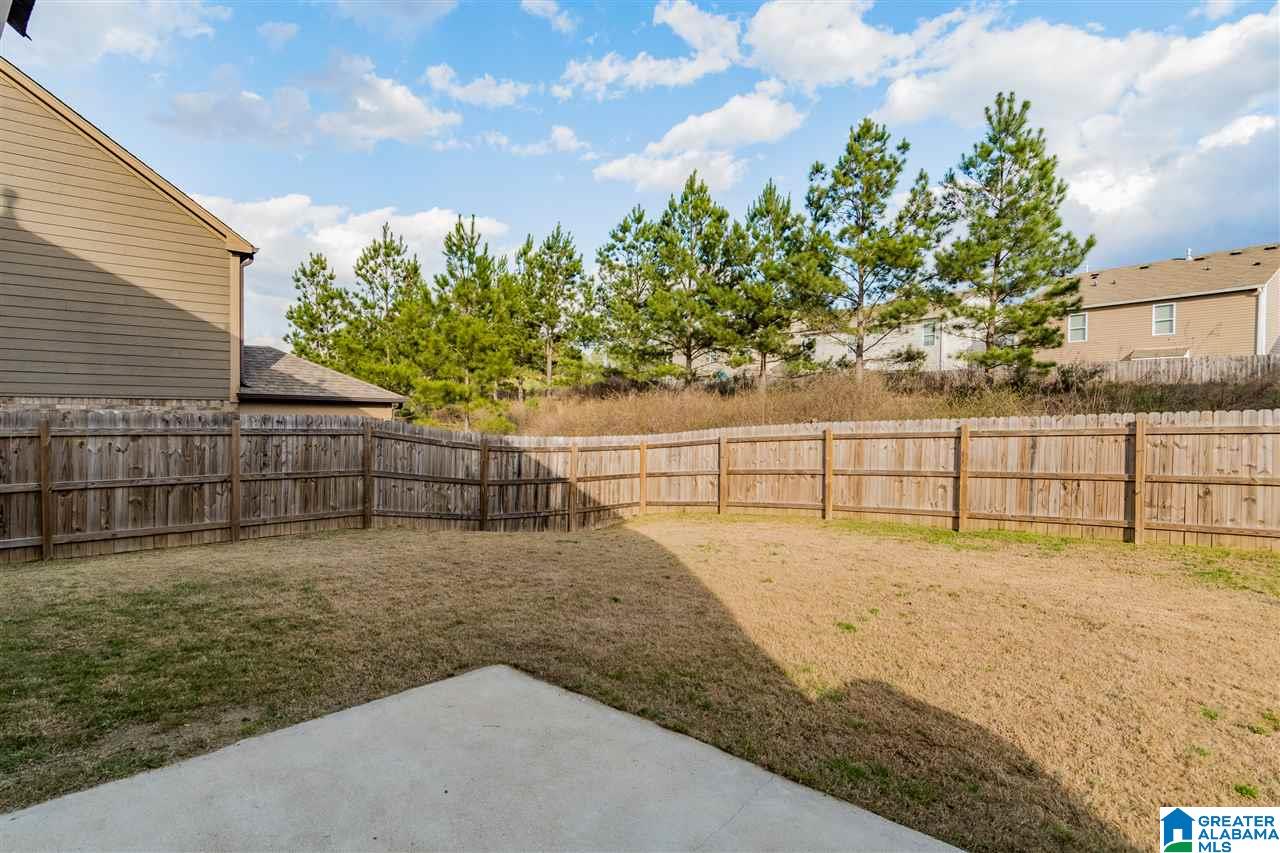 143 Chesser Loop Road Chelsea, AL 35043 - Photo 35 of 37