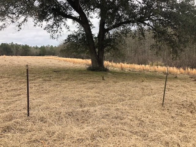 163.38-ac Cravey Bridge Road Florala, AL 36442 - Photo 38 of 49 Gallery Image 38
