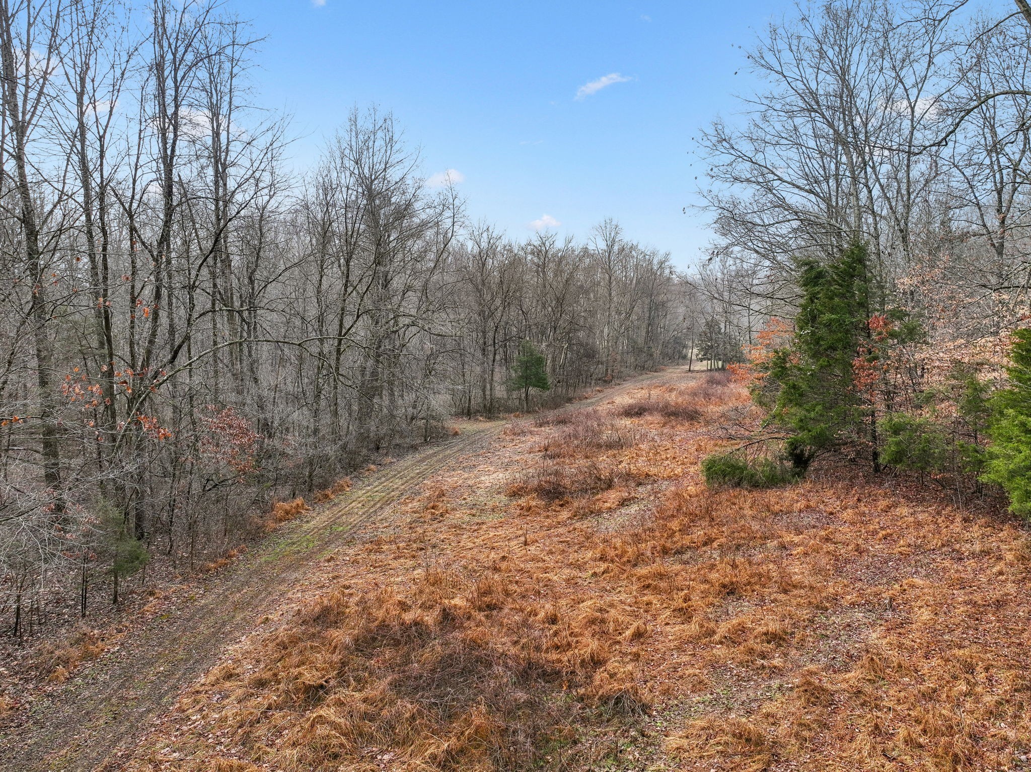 1457 Absher Branch Road Westmoreland, TN 37186 - Photo 73 of 74