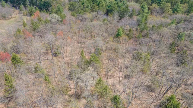 $349,900 | 10236 Buttercup Avenue, Hancock, WI 54943