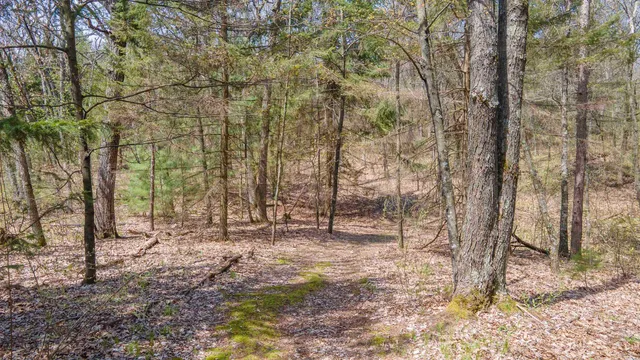 $349,900 | 10236 Buttercup Avenue, Hancock, WI 54943