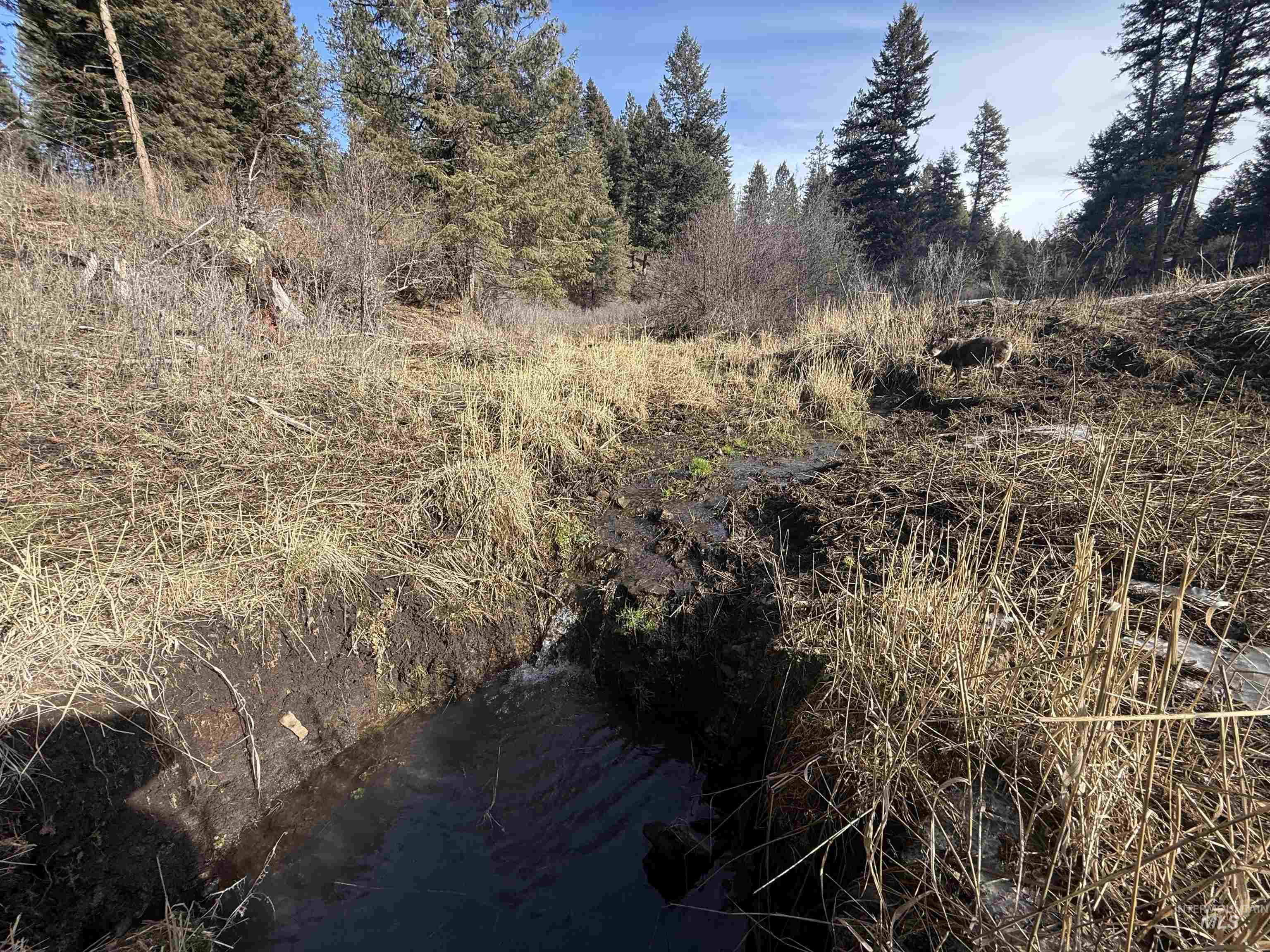 Tbd Rieman Road Cottonwood, ID 83522 - Photo 11 of 47