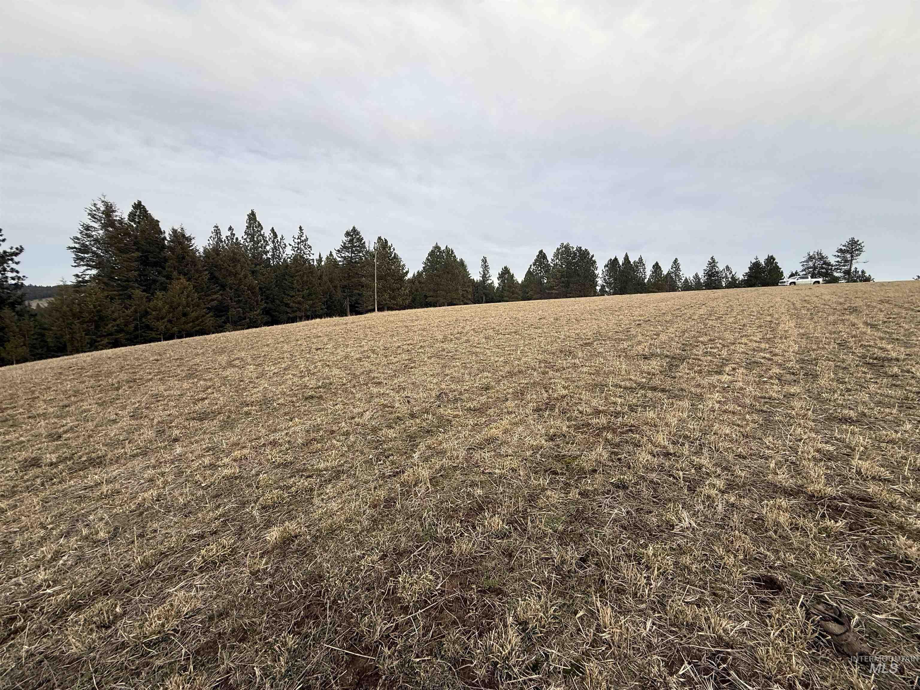 Tbd Rieman Road Cottonwood, ID 83522 - Photo 14 of 47