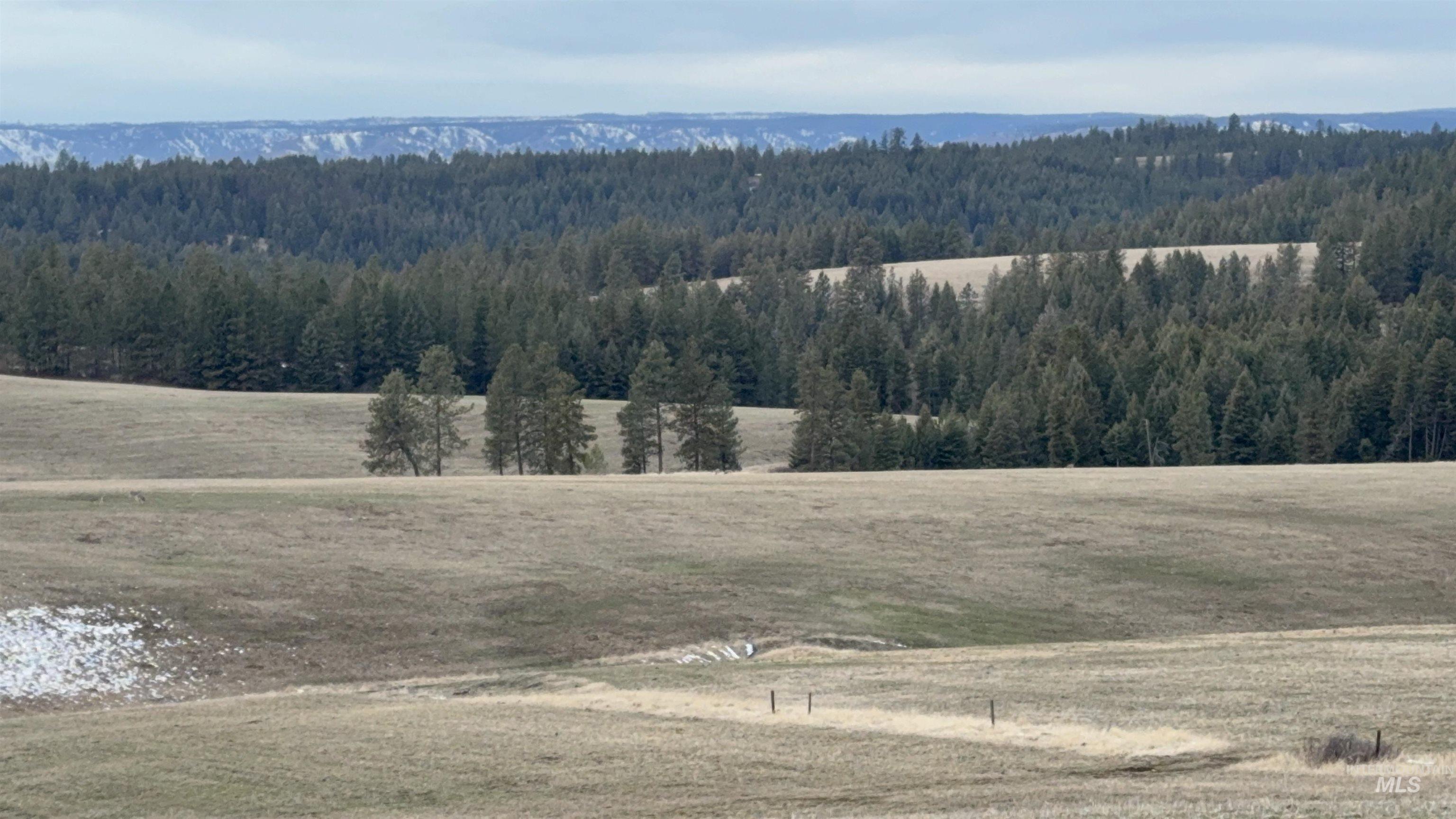 Tbd Rieman Road Cottonwood, ID 83522 - Photo 20 of 47