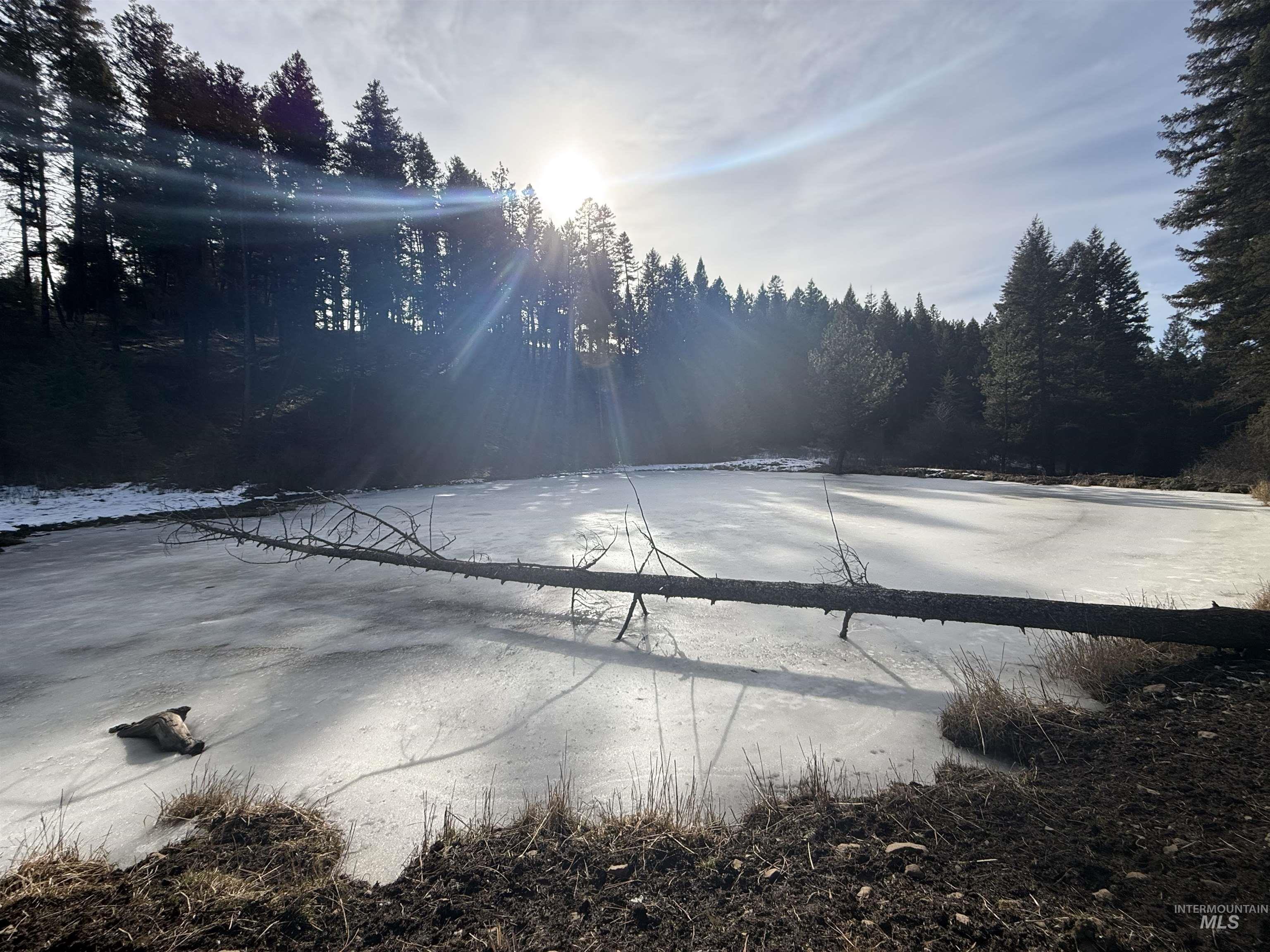 Tbd Rieman Road Cottonwood, ID 83522 - Photo 21 of 47 View of pond featuring a view of trees