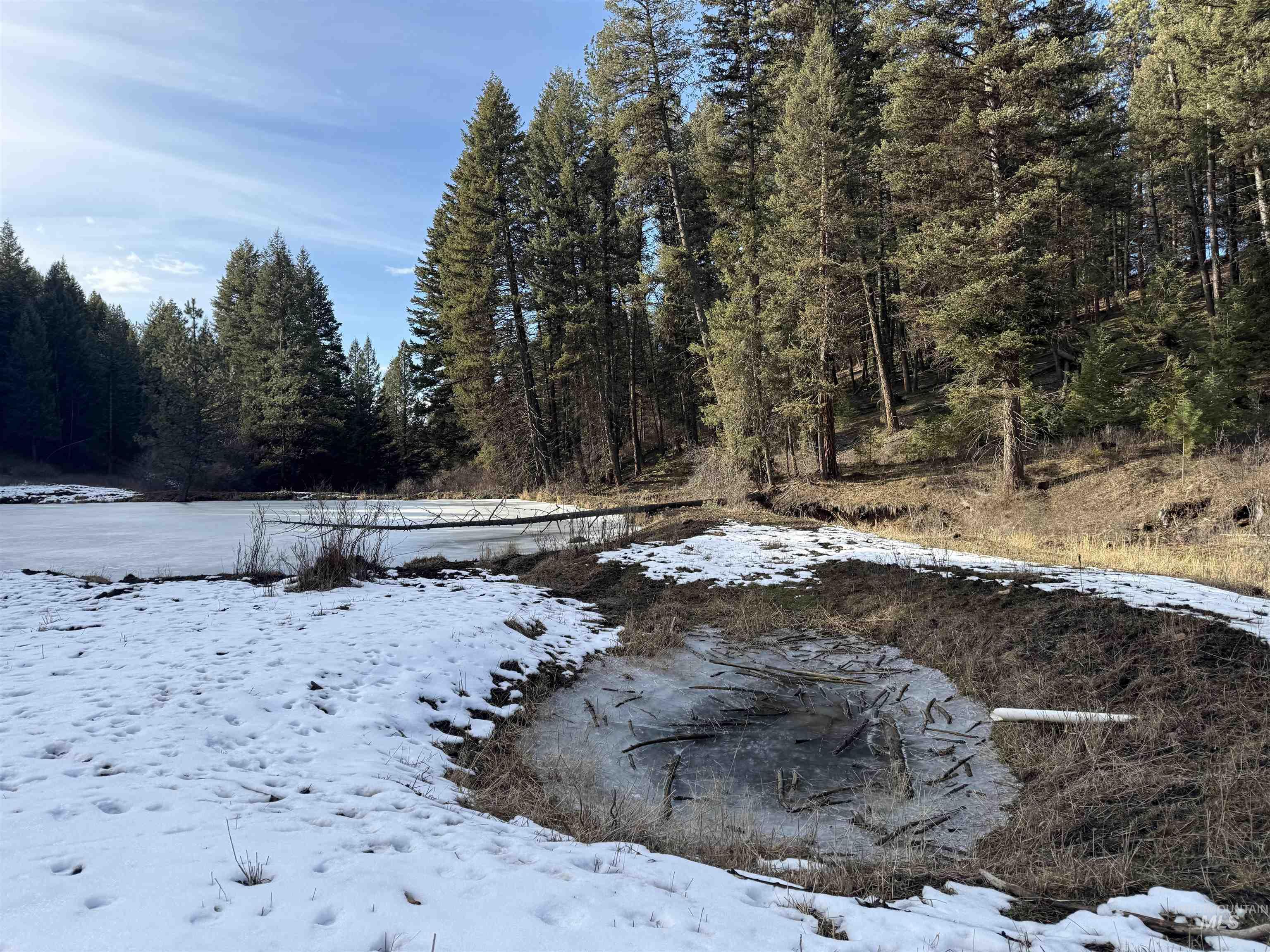 Tbd Rieman Road Cottonwood, ID 83522 - Photo 22 of 47