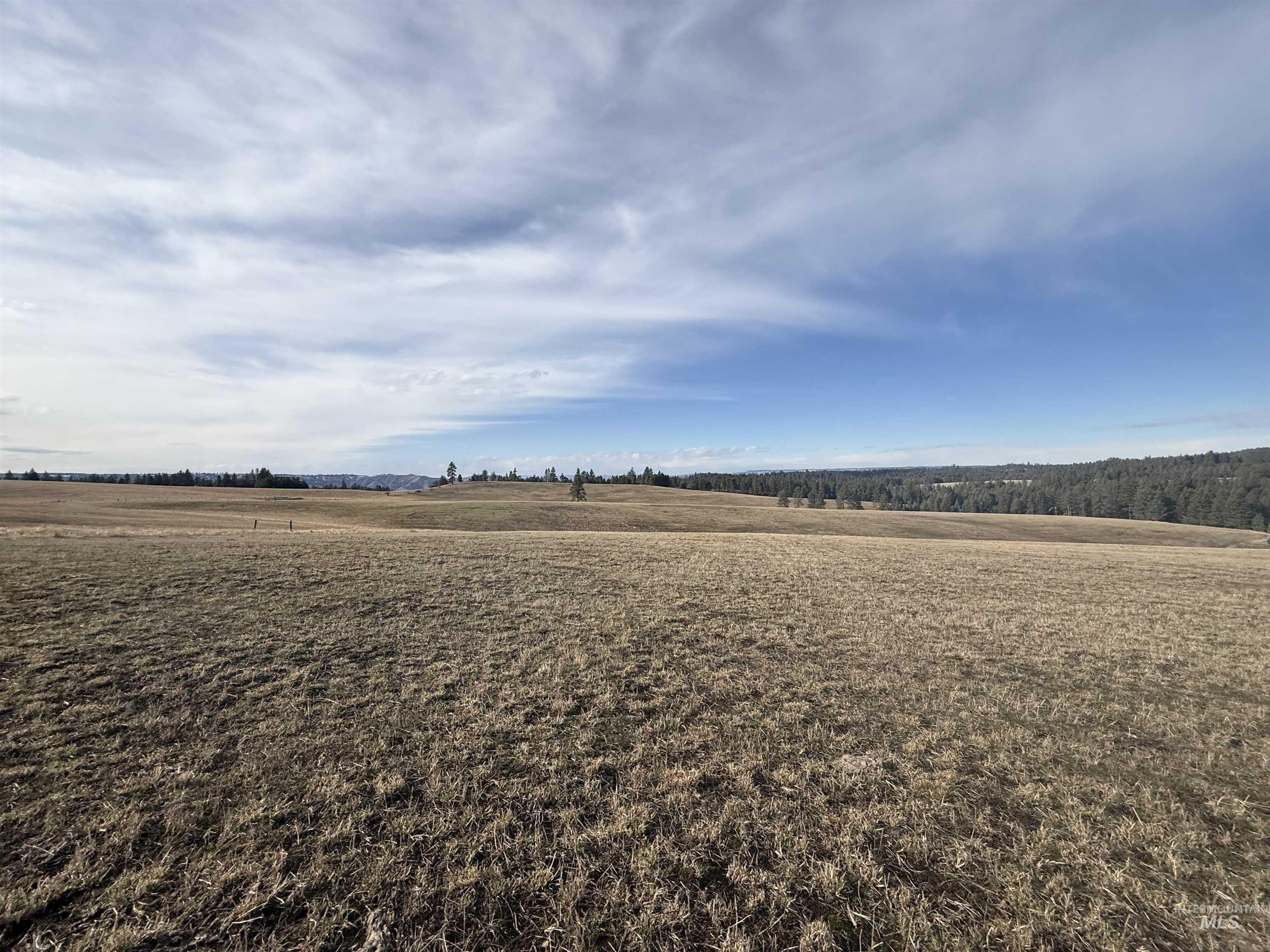 Tbd Rieman Road Cottonwood, ID 83522 - Photo 26 of 47 View of yard with a view of countryside