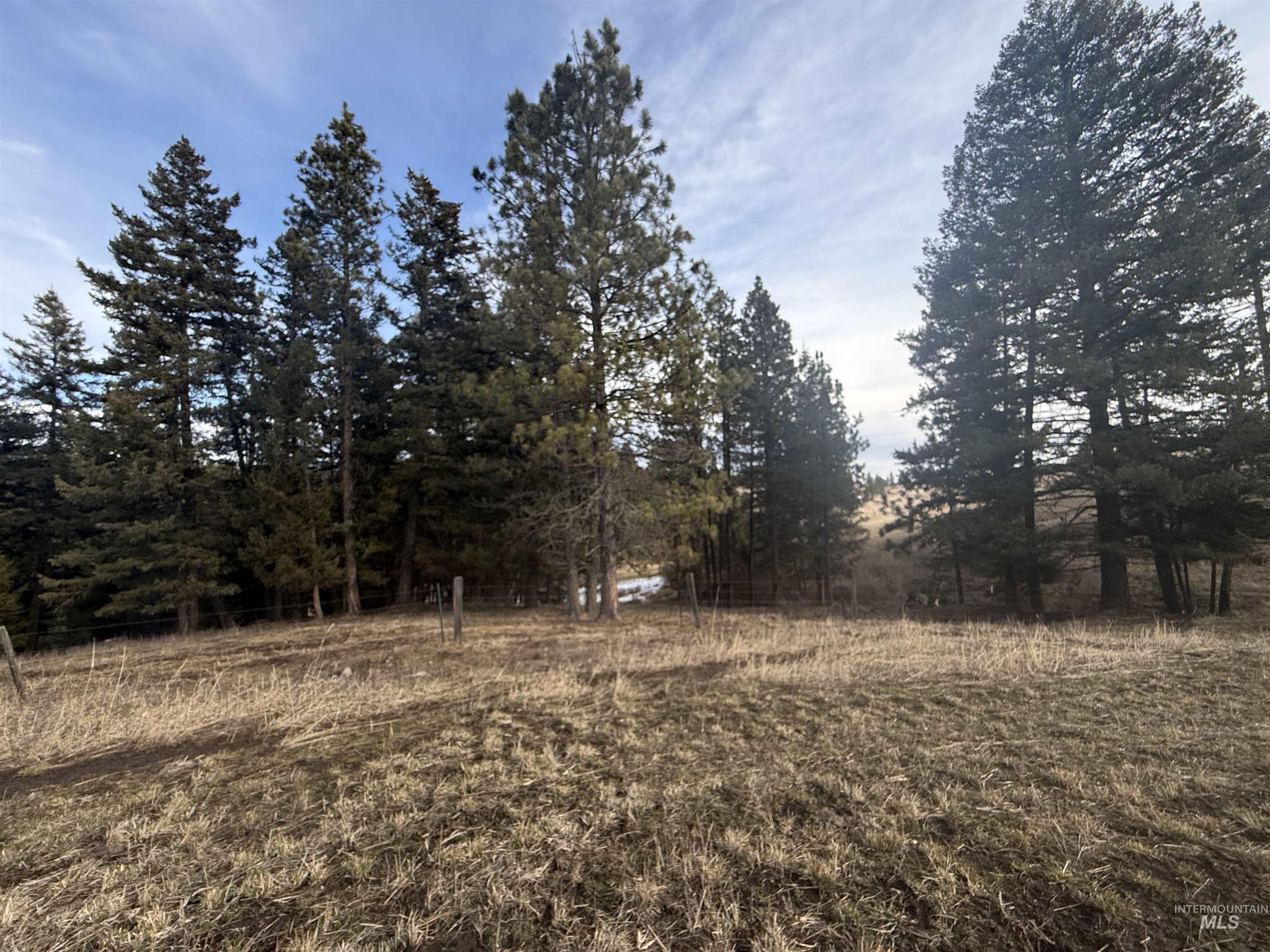 Tbd Rieman Road Cottonwood, ID 83522 - Photo 29 of 47