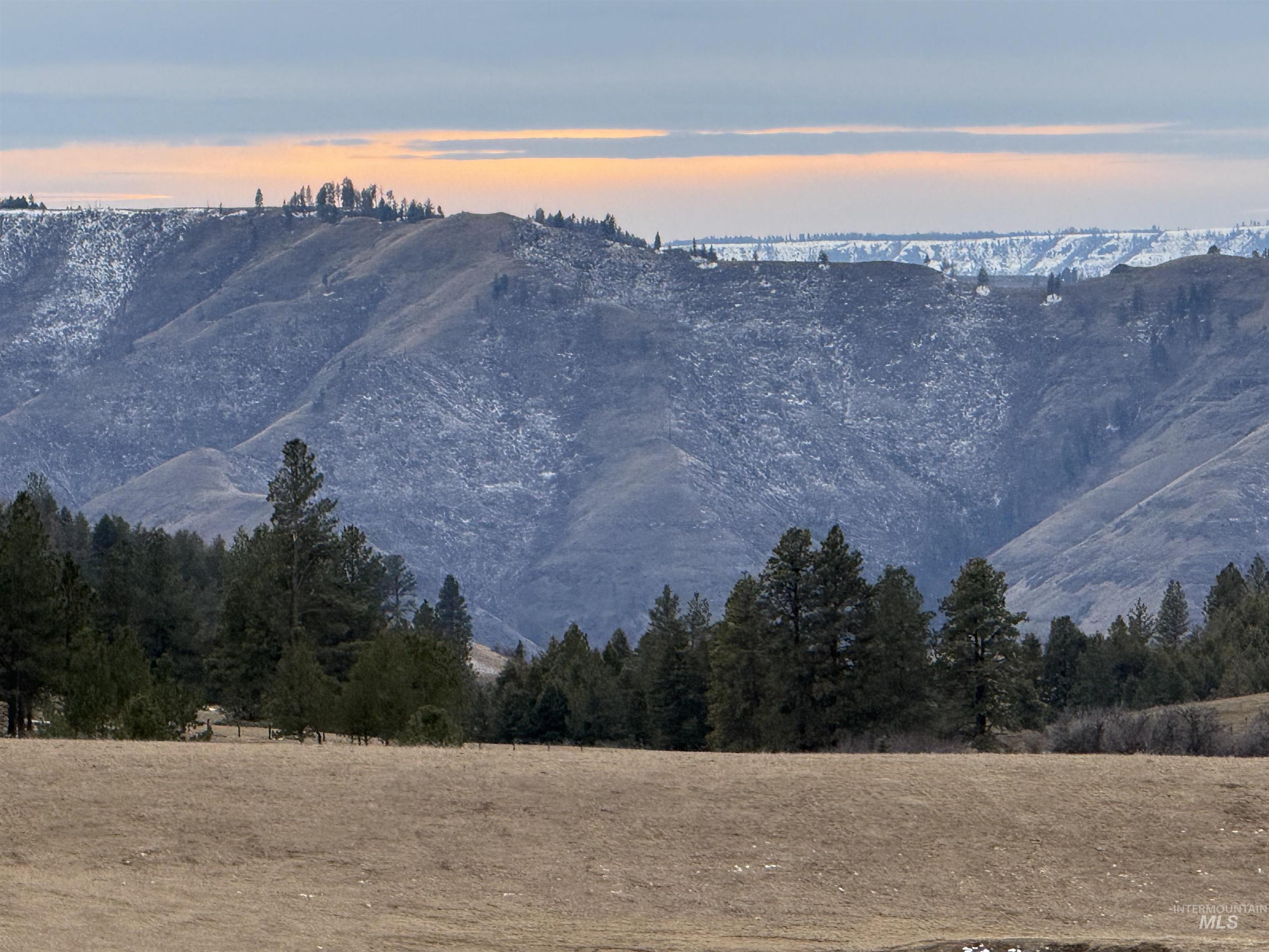 Tbd Rieman Road Cottonwood, ID 83522 - Photo 3 of 47 Looking toward Salmon River breaks