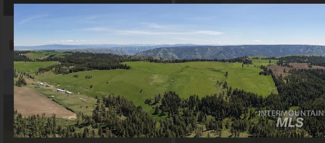 Tbd Rieman Road Cottonwood, ID 83522 - Photo 32 of 47 Mountain view featuring rural landscape