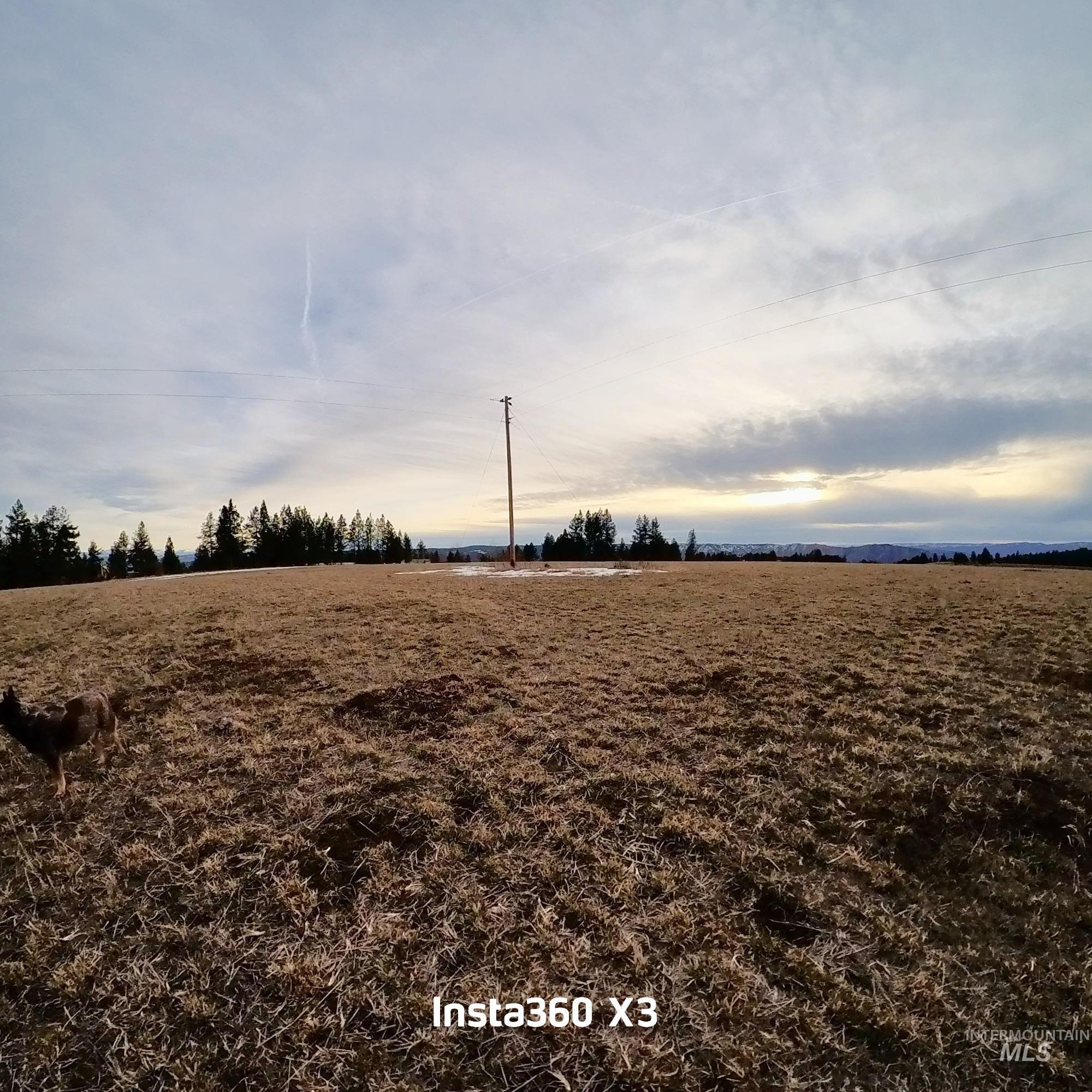 Tbd Rieman Road Cottonwood, ID 83522 - Photo 37 of 47