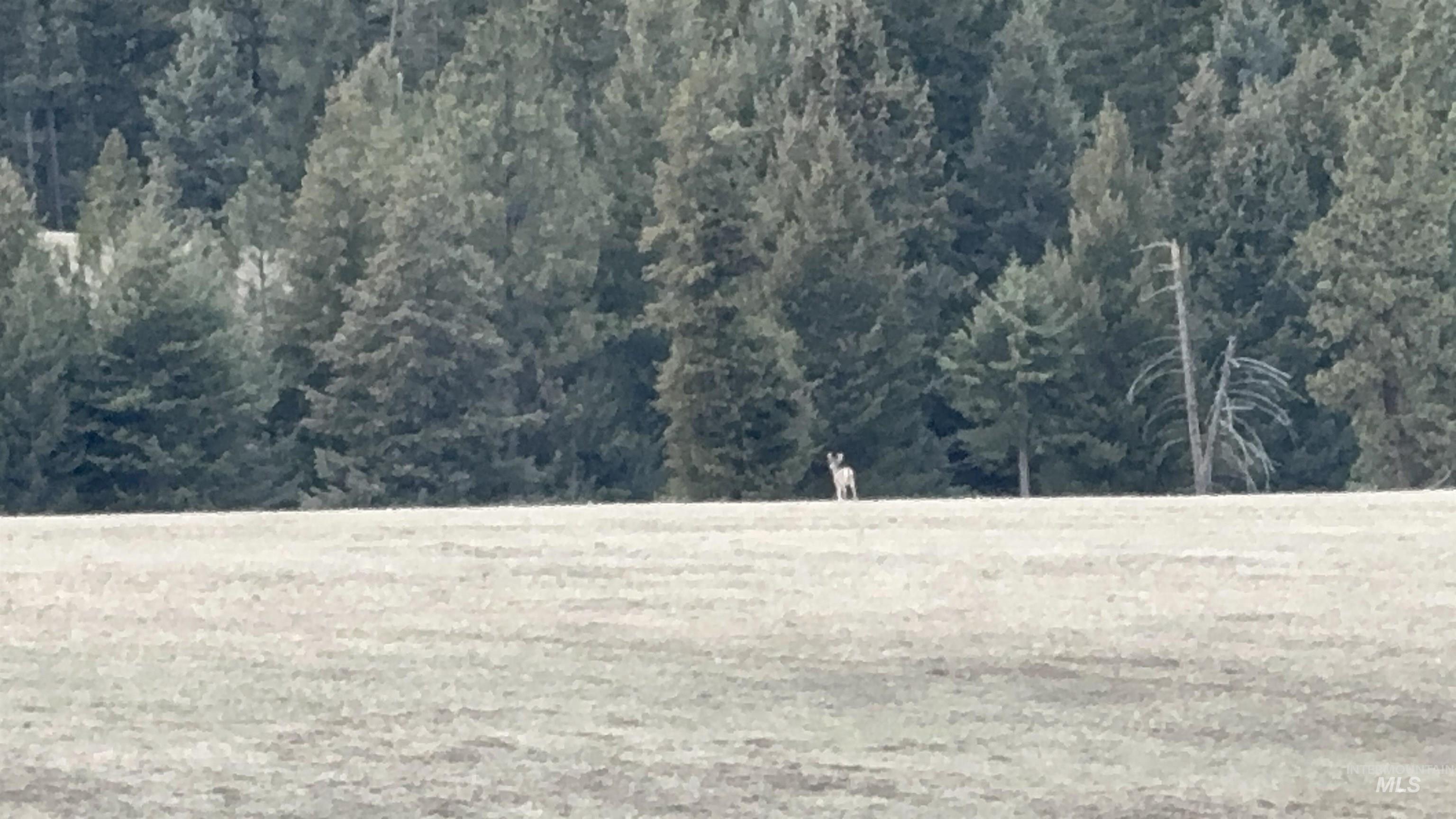 Tbd Rieman Road Cottonwood, ID 83522 - Photo 40 of 47