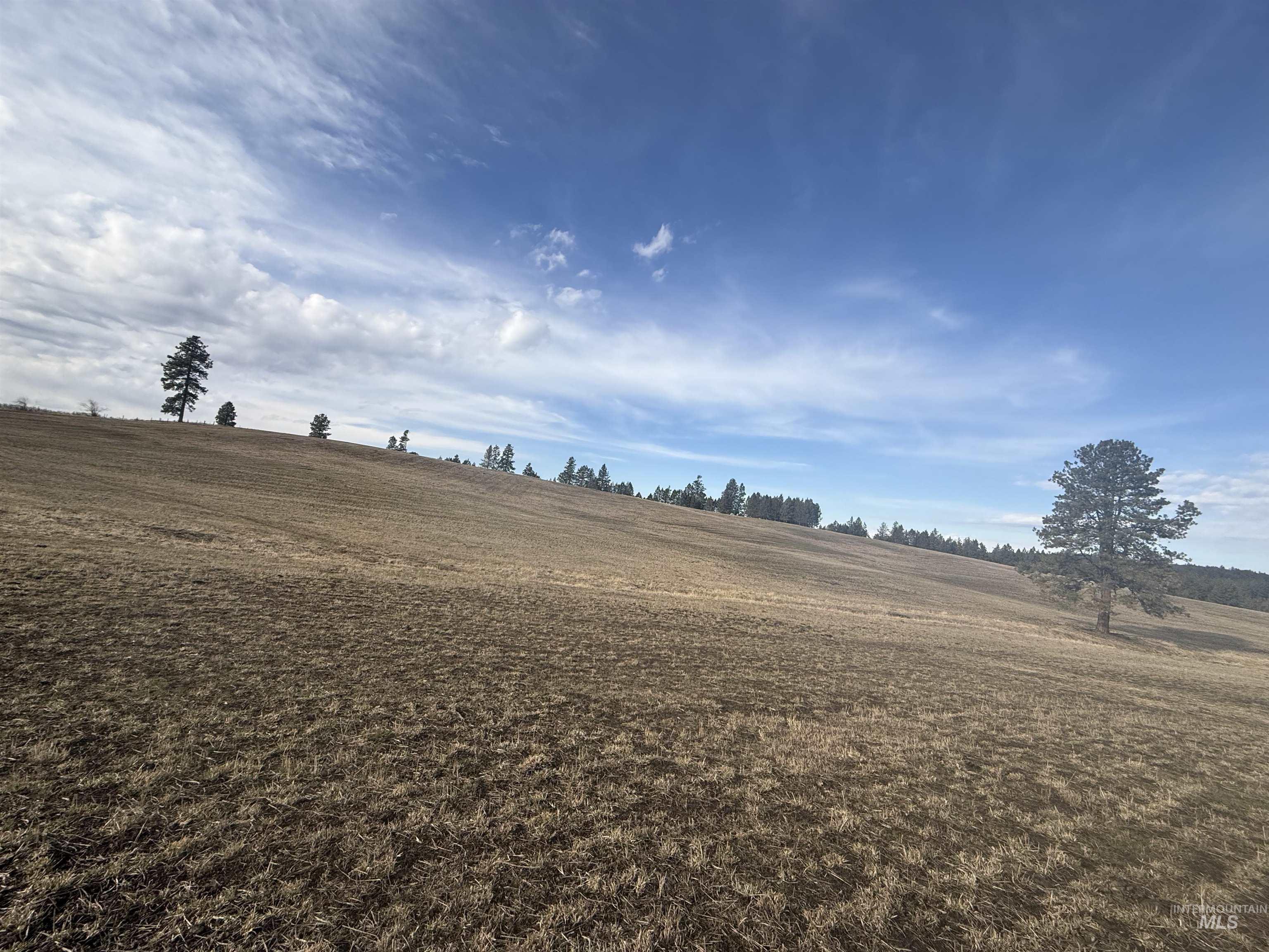 Tbd Rieman Road Cottonwood, ID 83522 - Photo 45 of 47