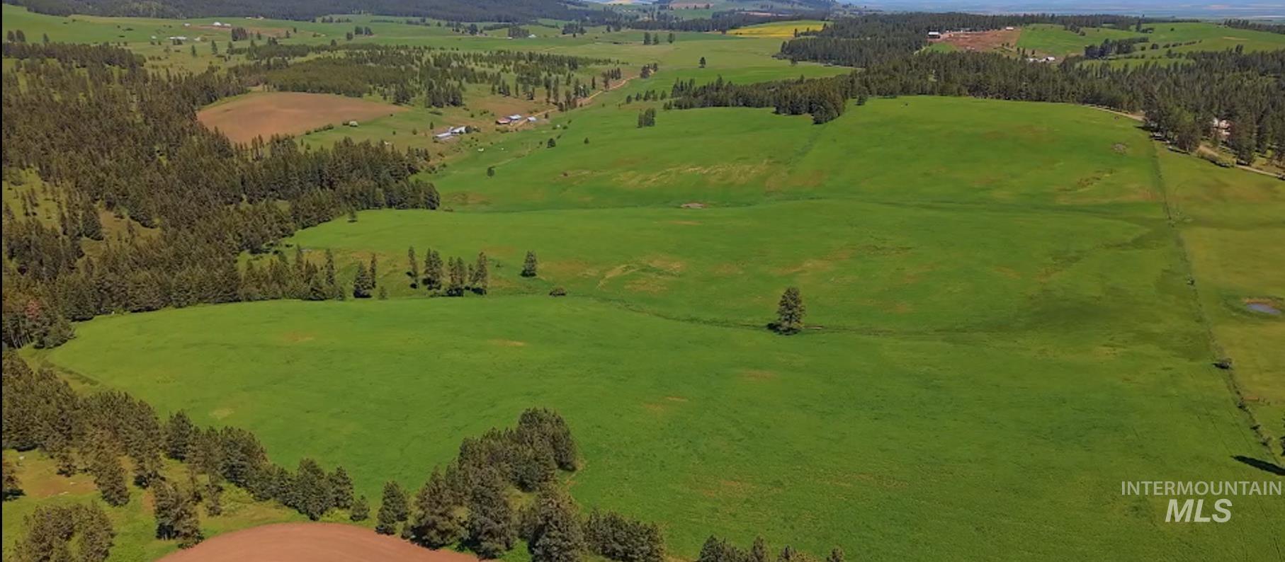 Tbd Rieman Road Cottonwood, ID 83522 - Photo 46 of 47 Aerial view