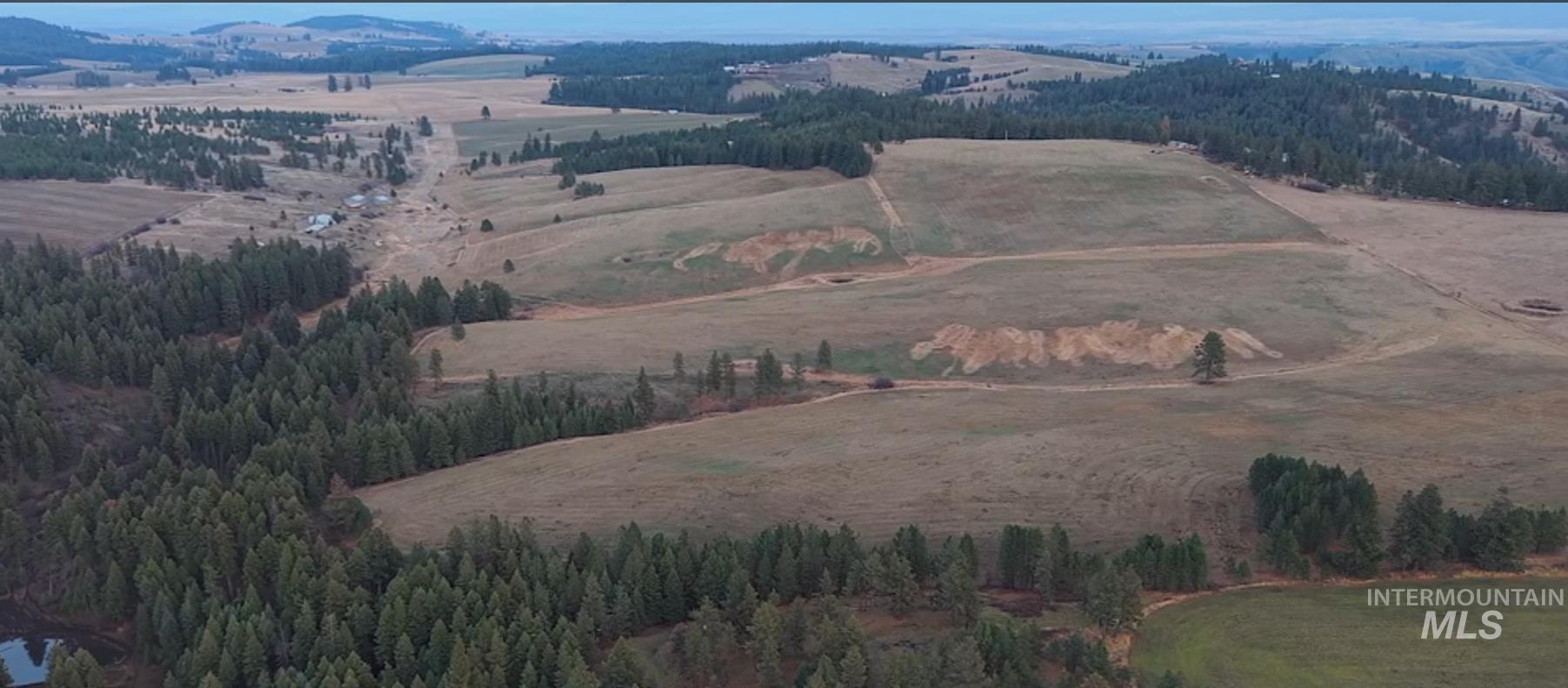 Tbd Rieman Road Cottonwood, ID 83522 - Photo 47 of 47 View of rural area with a forest