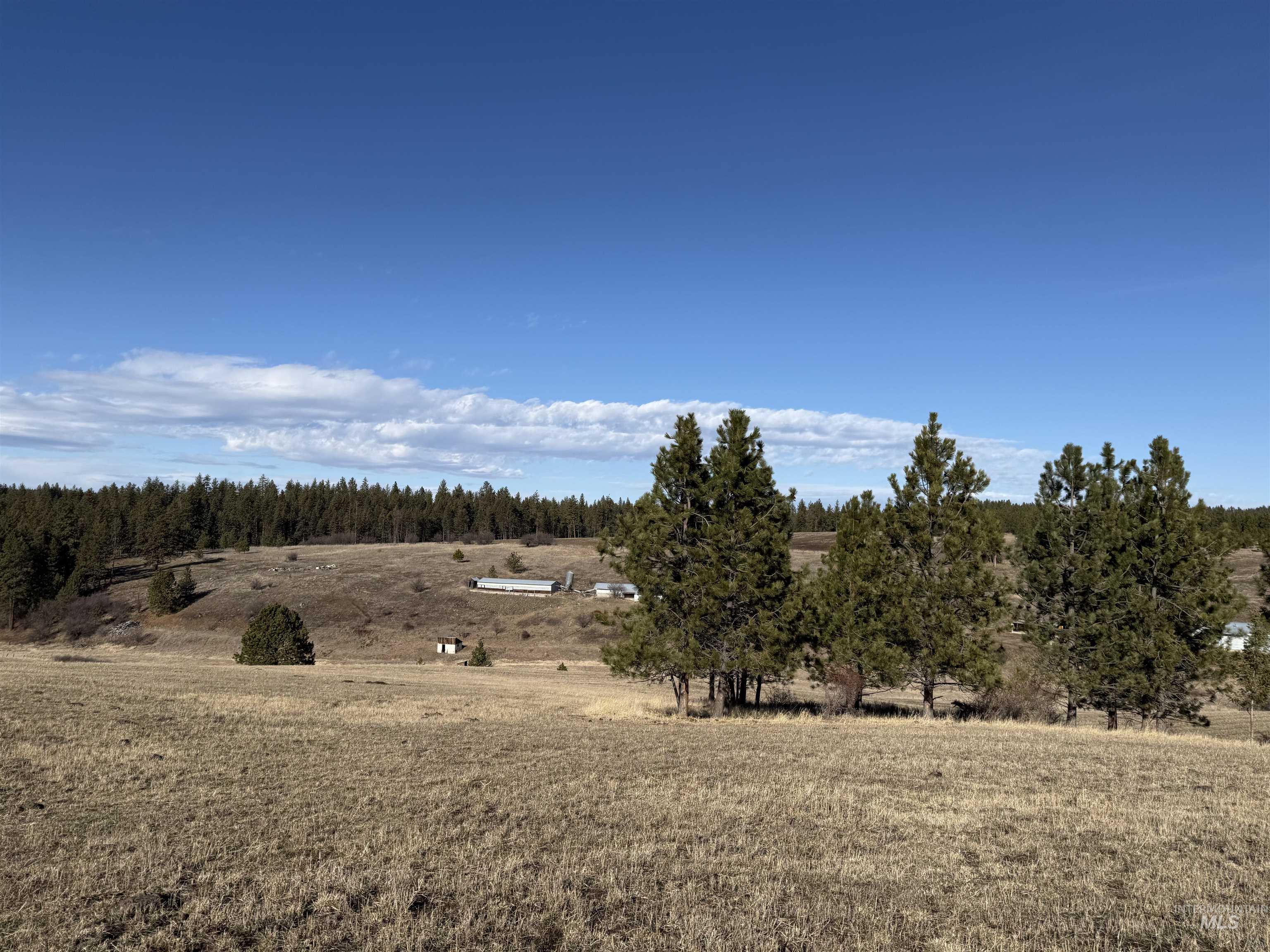 Tbd Rieman Road Cottonwood, ID 83522 - Photo 5 of 47 View of undeveloped land with rural landscape