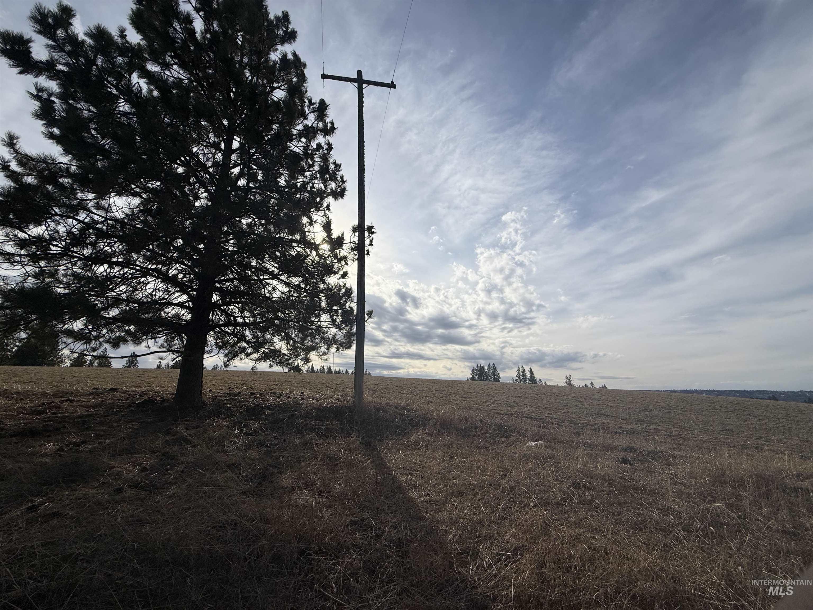 Tbd Rieman Road Cottonwood, ID 83522 - Photo 6 of 47 View of undeveloped land with rural landscape
