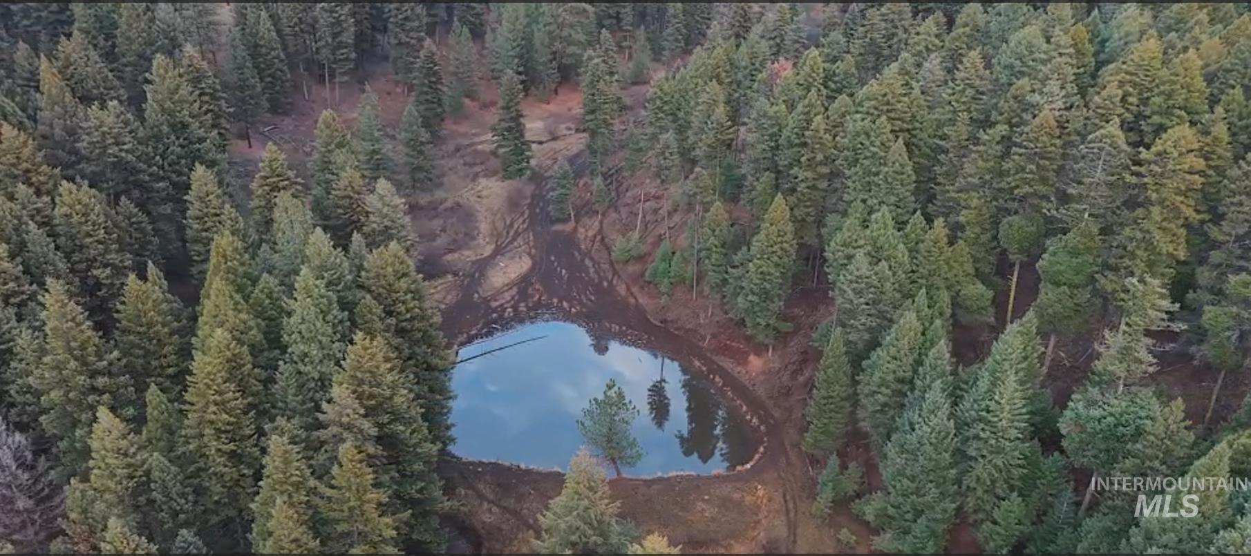 Tbd Rieman Road Cottonwood, ID 83522 - Photo 7 of 47 Bird's eye view of a wooded area and a nearby body of water