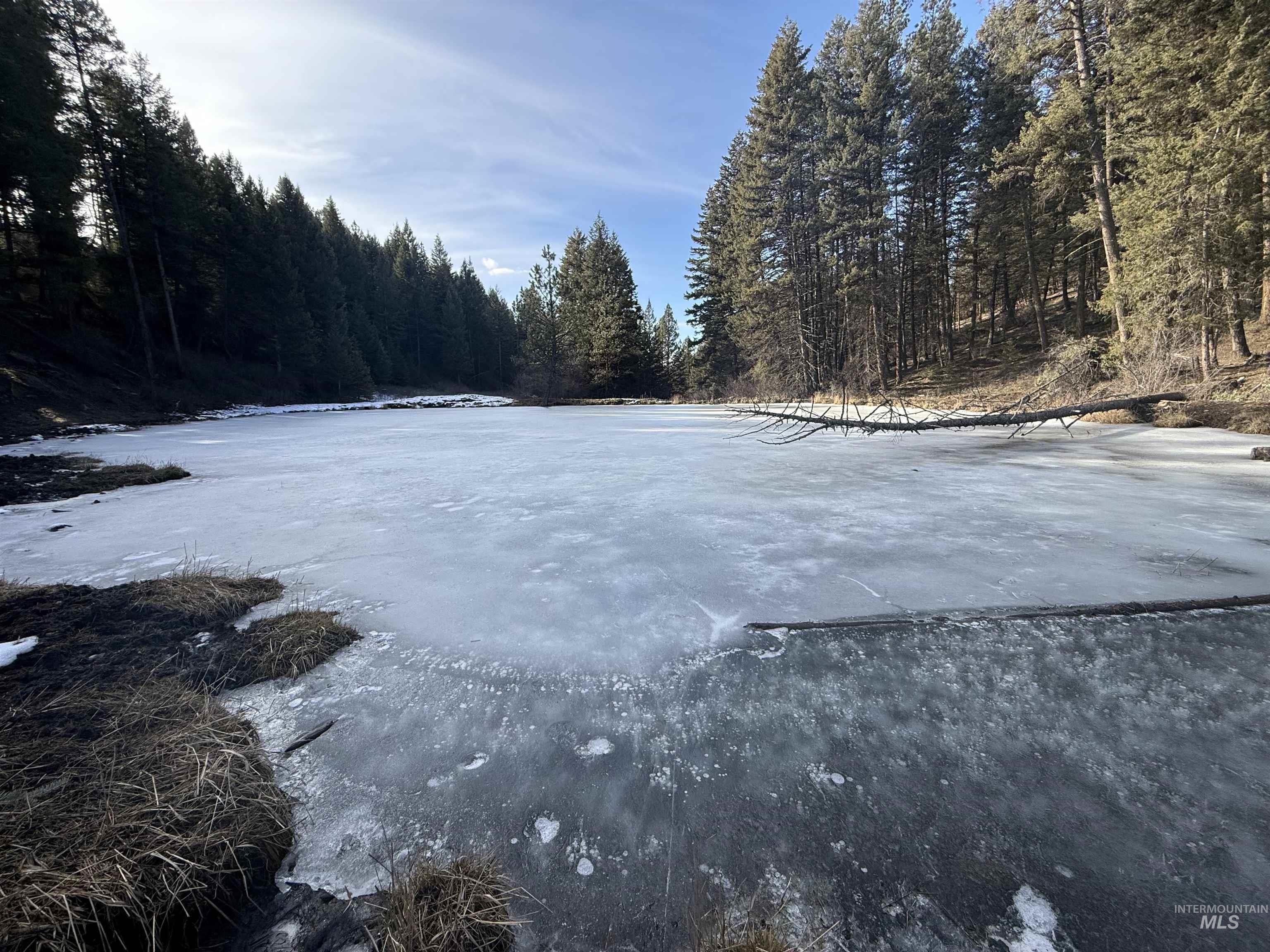 Tbd Rieman Road Cottonwood, ID 83522 - Photo 8 of 47