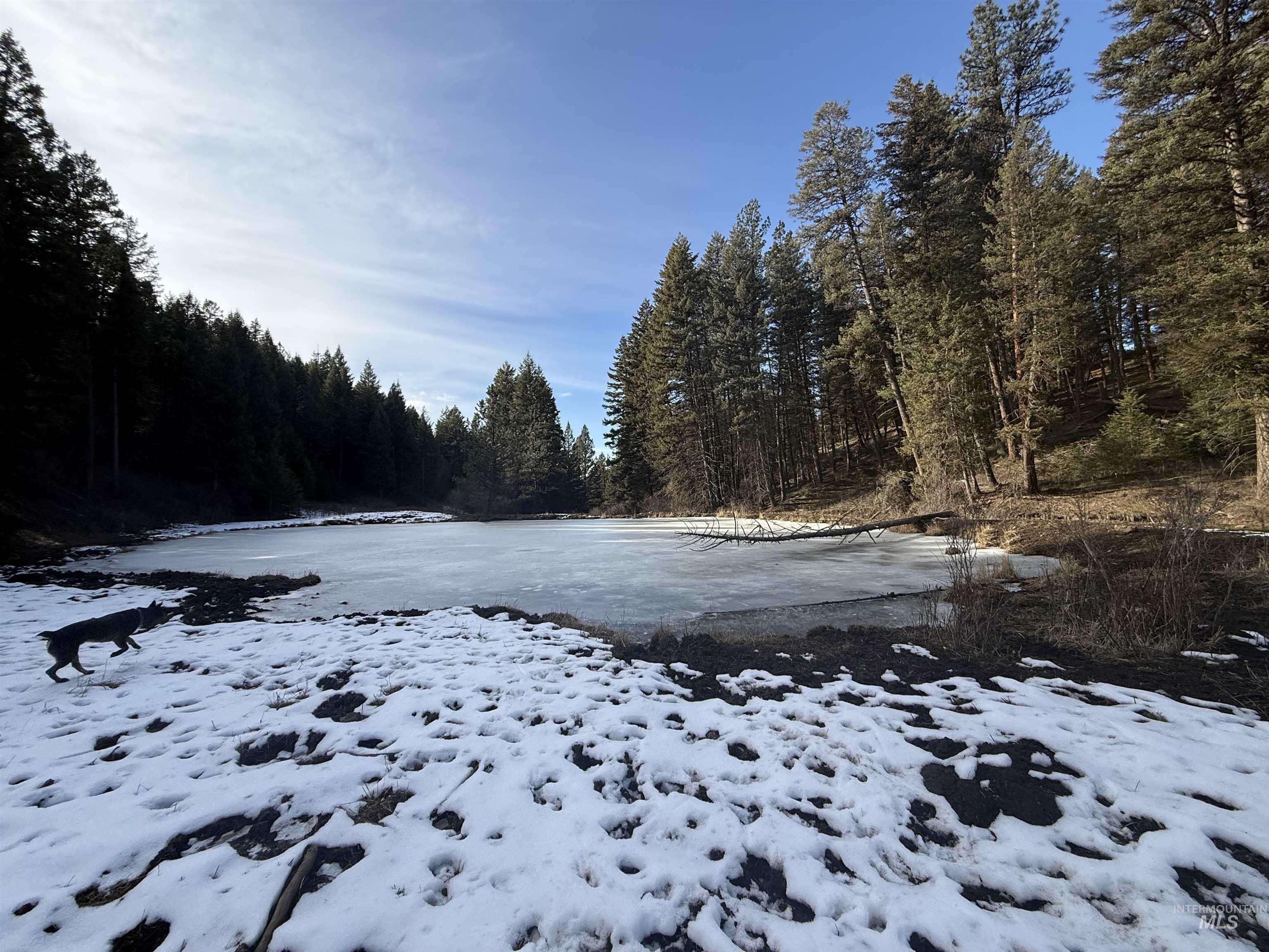 Tbd Rieman Road Cottonwood, ID 83522 - Photo 9 of 47