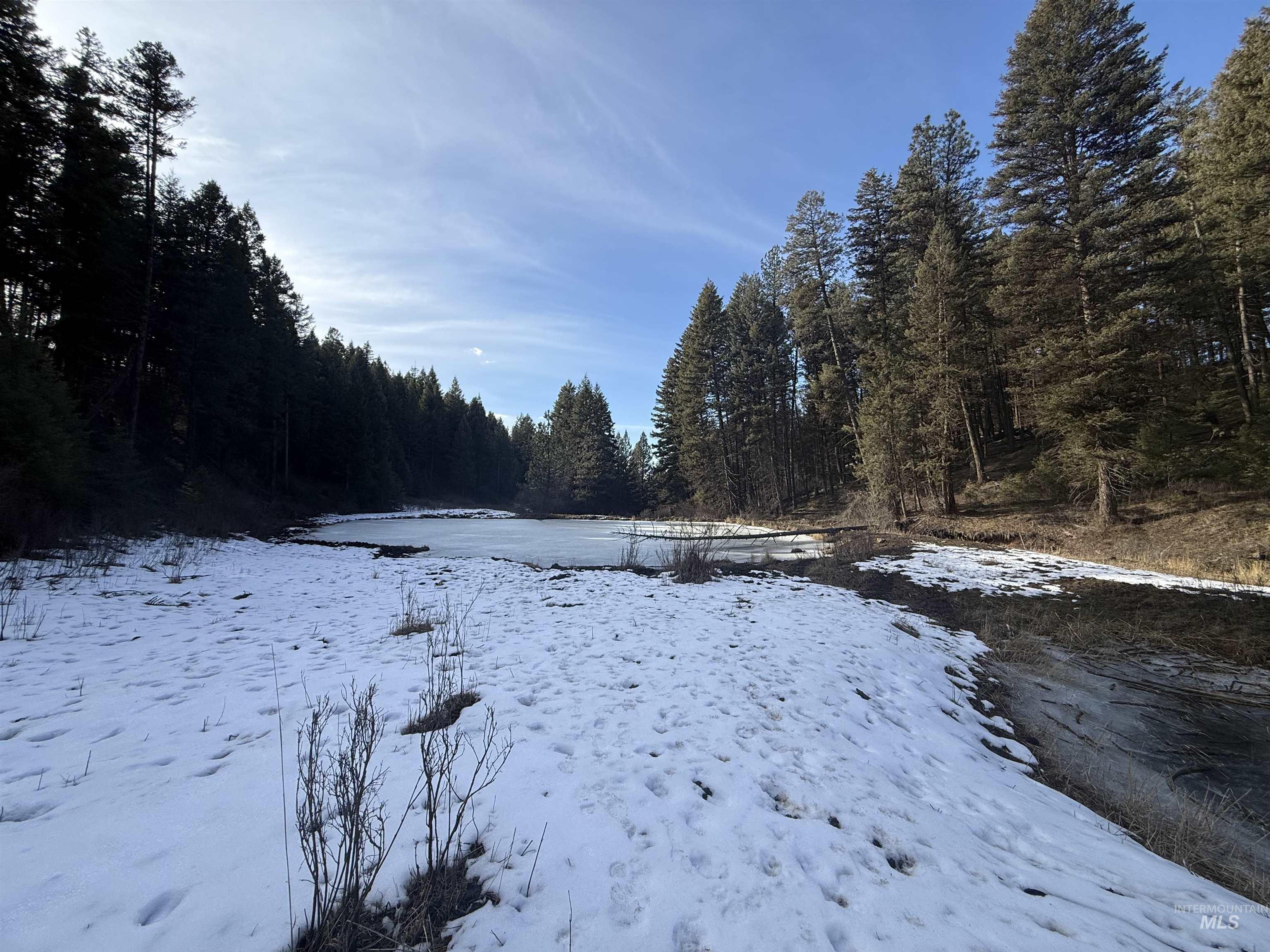 Tbd Rieman Road Cottonwood, ID 83522 - Photo 10 of 47 Snowy pond featuring a wooded view