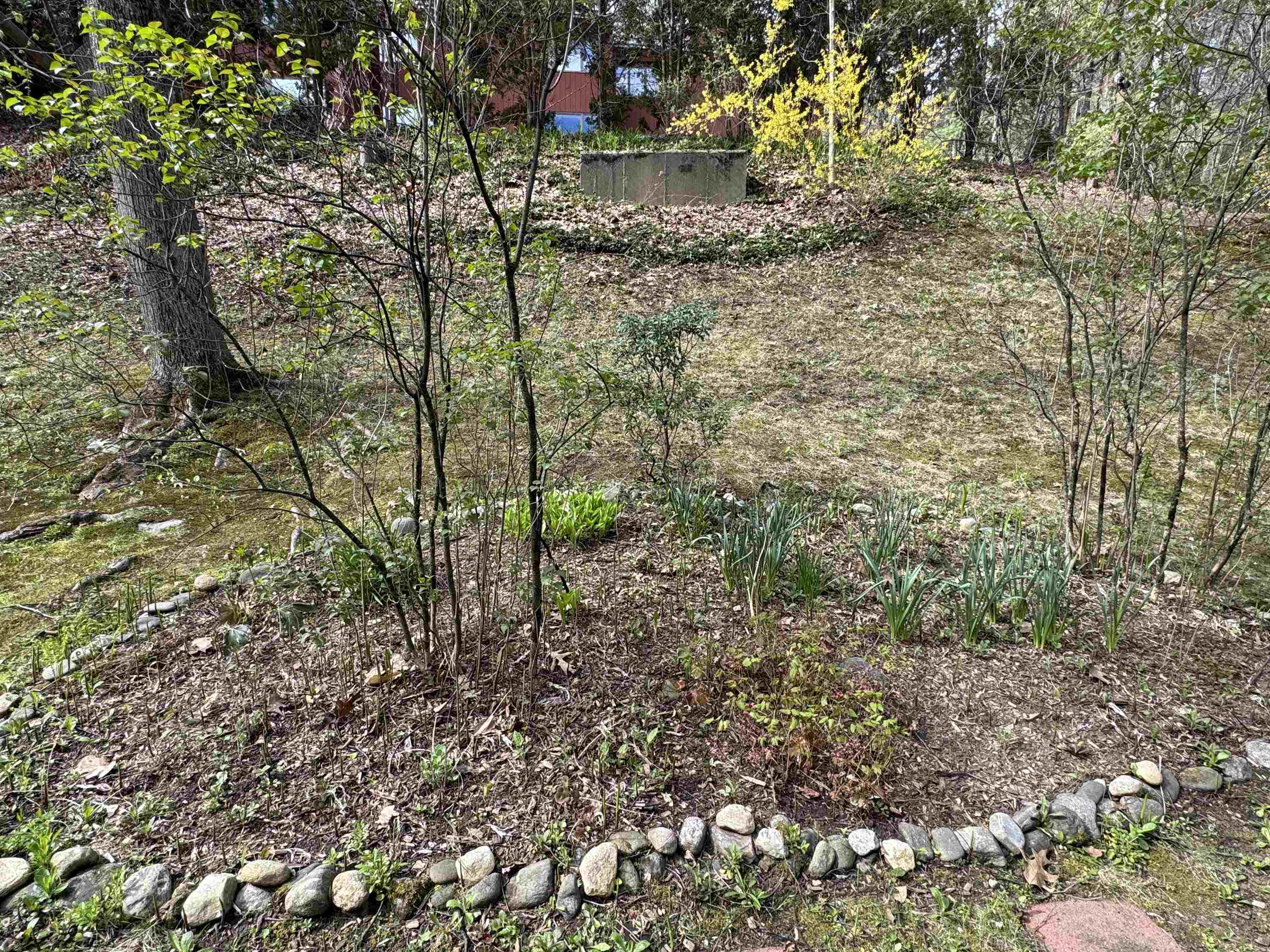 17 Robin Way Brattleboro, VT 05301 - Photo 4 of 20