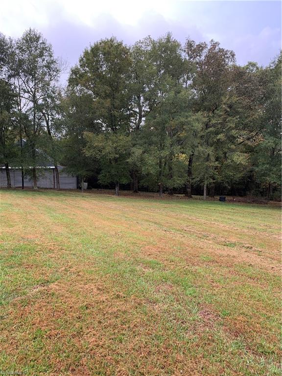7024 Riverside Road Seagrove, NC 27341 - Photo 14 of 16 Room to Roam!