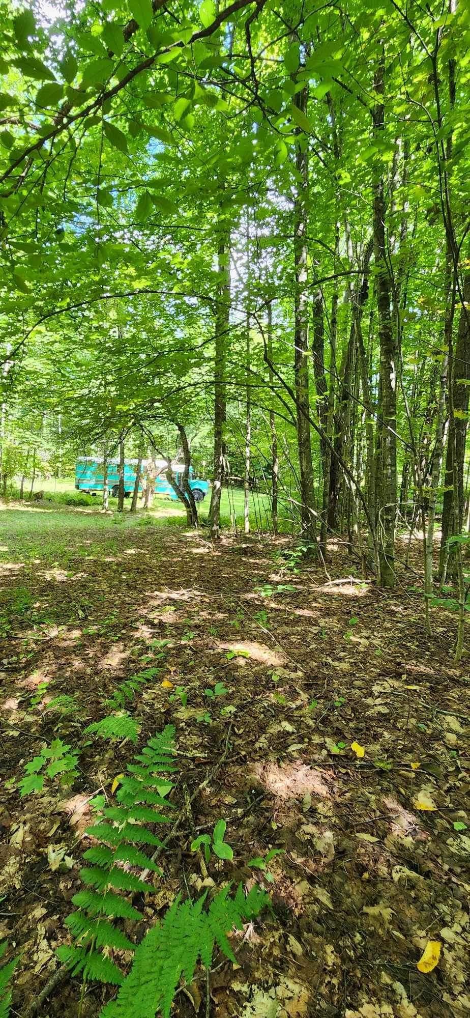 0 Stackpole Road Bethel, VT 05032 - Photo 3 of 8