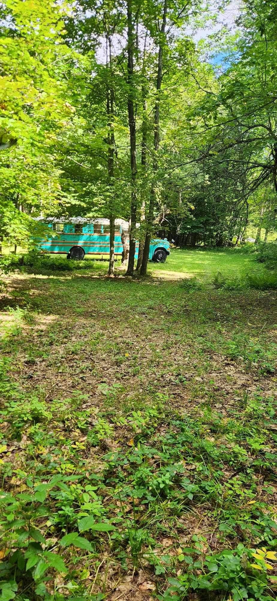 0 Stackpole Road Bethel, VT 05032 - Photo 6 of 8