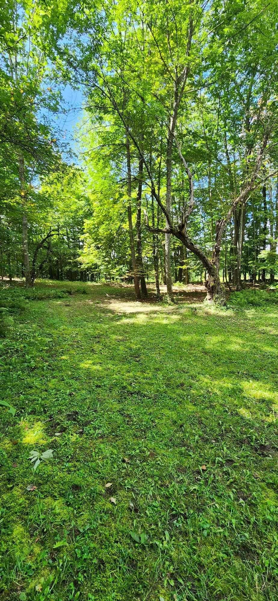 0 Stackpole Road Bethel, VT 05032 - Photo 7 of 8