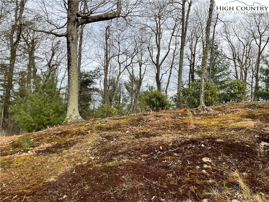Lot 11-12 Sunset Ridge Drive Boone, NC 28607 - Photo 2 of 28
