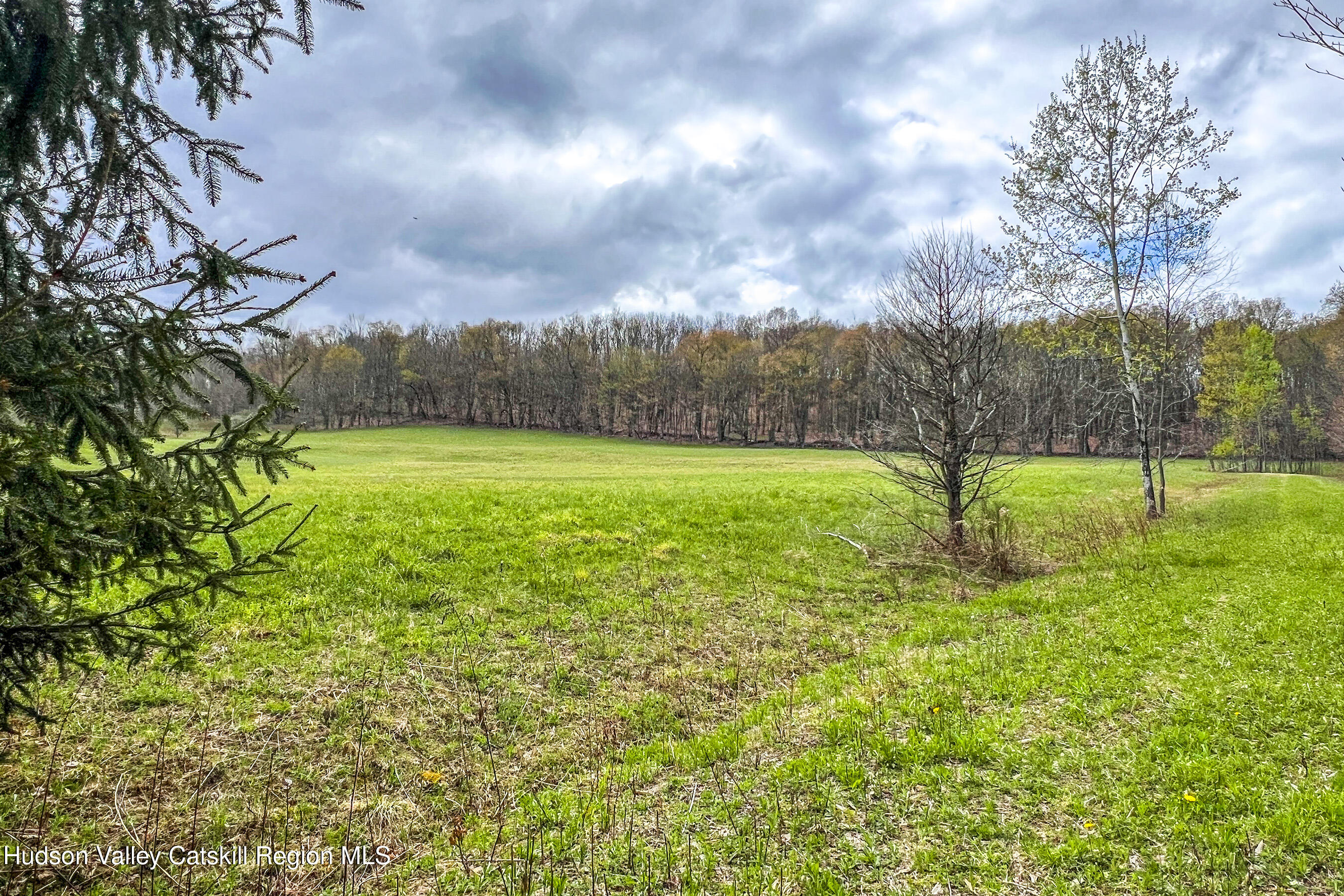 0 Brownell Road Bloomville, NY 13739 - Photo 12 of 39 23 acres Brownell Rd -- 10