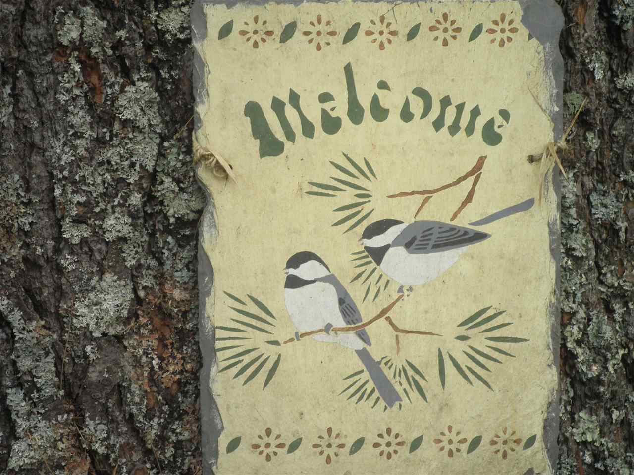 23 Trout Club Road Weston, VT 05161 - Photo 8 of 10