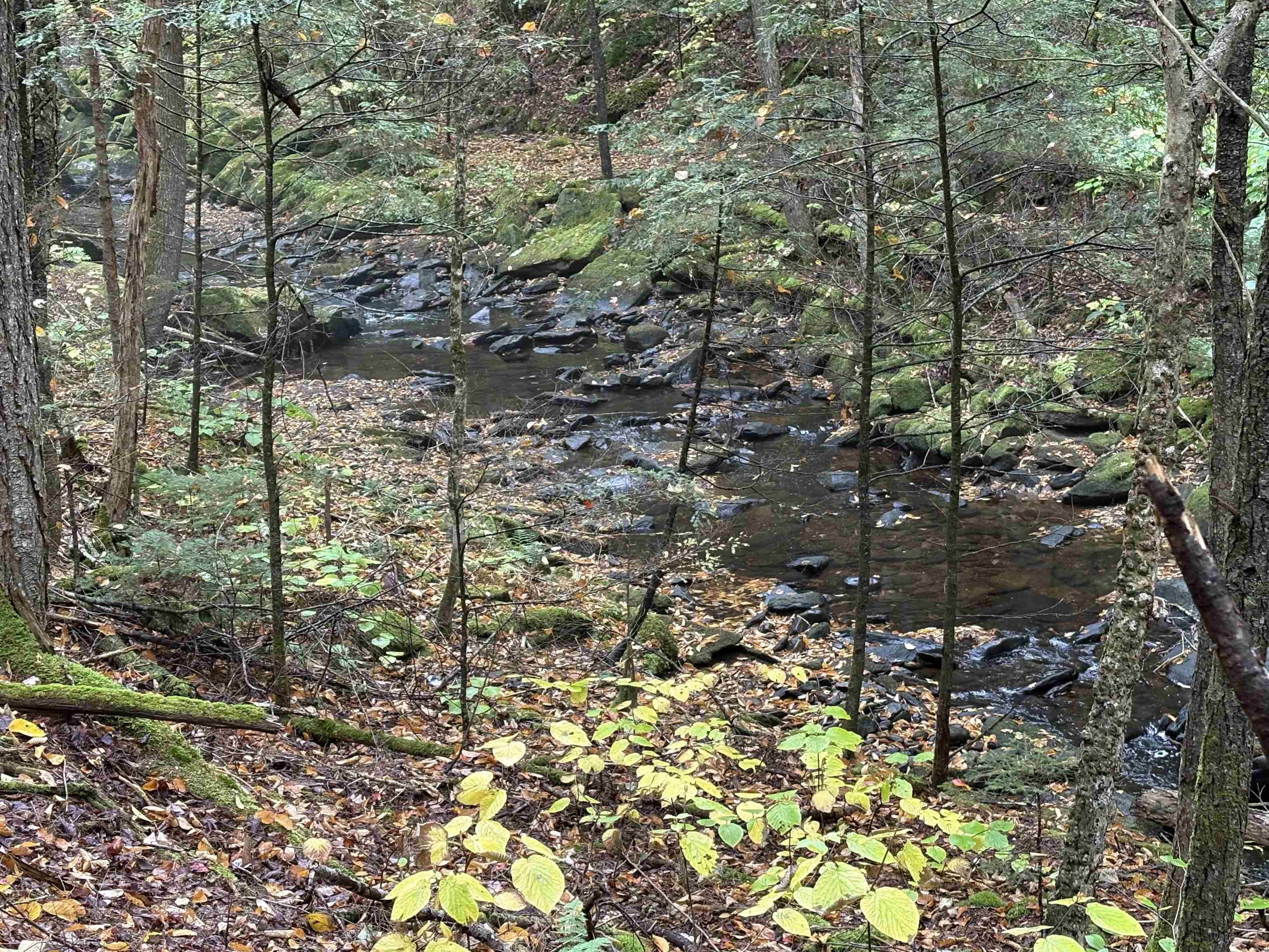 25 New Hampshire Route Warren, NH 03279 - Photo 2 of 6